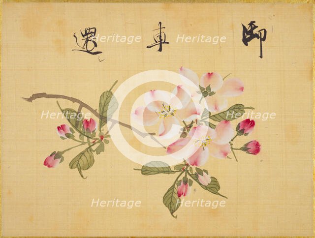 From the Sketch Book of Sakura (Cherry Blossoms), Between 1830 and 1853. Creator: Sakamoto, Konen (1800-1853).