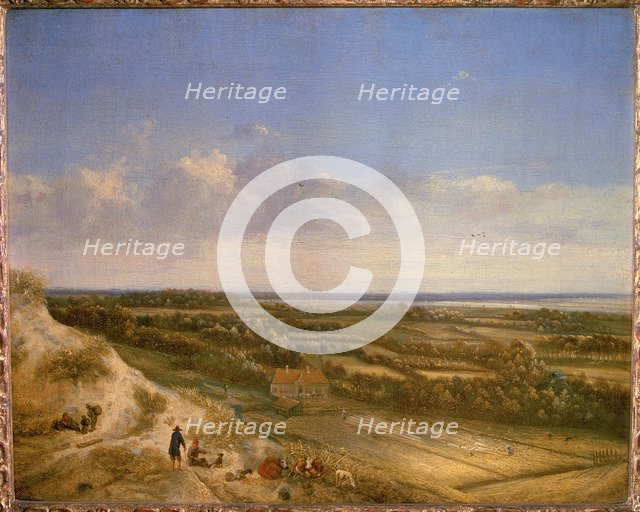 View of Haarlem from the dunes.