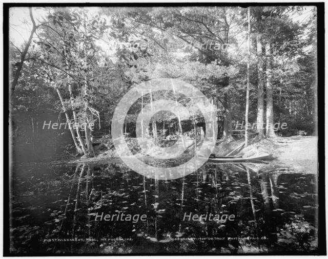 Wiscasset Pool, Mt. Pocono, Pa., c1900. Creator: Unknown.