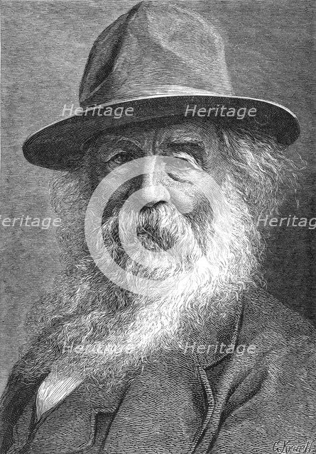 Walt Whitman (1819-1892), American poet, c1880s. Artist: Unknown