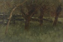 Orchard, 1873-1903.  Creator: George Poggenbeek.