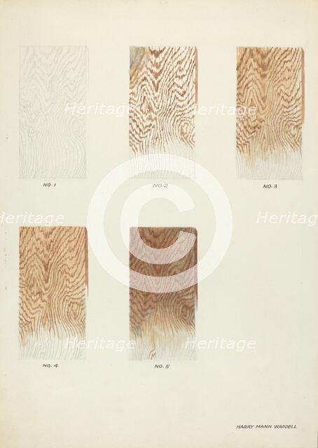 Technique Demo (Wood Grain), c. 1938. Creator: Harry Mann Waddell.
