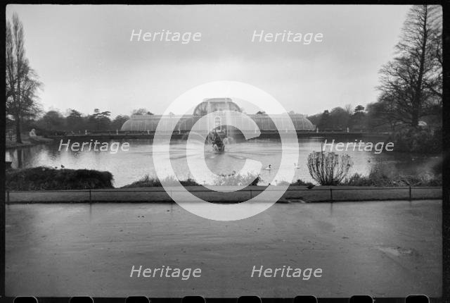 Palm House, Royal Botanic Gardens, Kew, Richmond upon Thames, London, c1955-c1980. Creator: Ursula Clark.