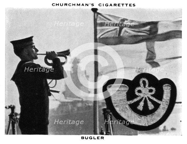 Bugler, 1937.Artist: WA & AC Churchman