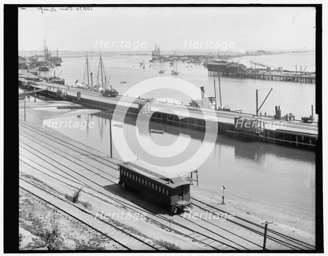 The Harbor, San Pedro, California, between 1880 and 1899. Creator: Unknown.