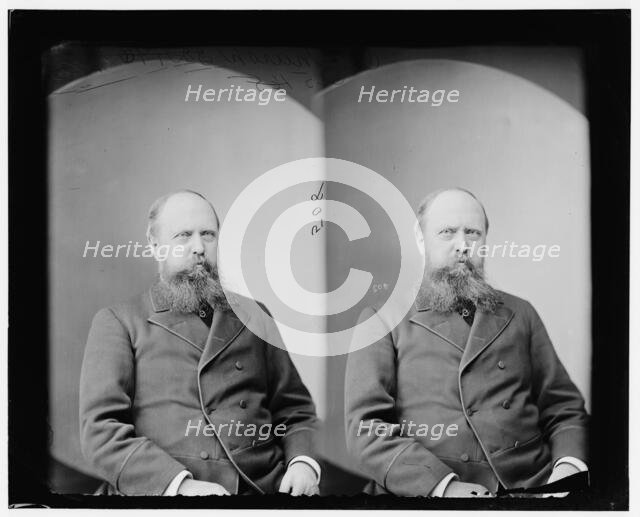 Professor O.C. Marsh, 1865-1880. Creator: Unknown.