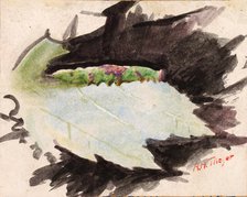 Heterocampa Biundata, Walker, study for book Concealing Coloration in the Animal Kingdom, n.d. Creator: Abbott Handerson Thayer.