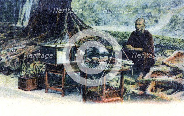 A man selling fruit under a tree, Hong Kong, China, c1900s. Artist: Unknown