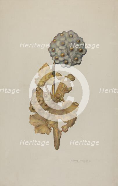 Tie-back, c. 1941. Creator: Harry Jennings.