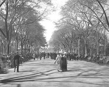 The Mall, Central Park, New York, USA, c1900.  Creator: Unknown.