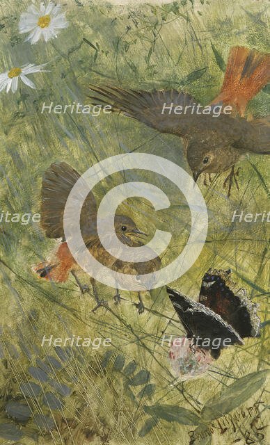 Redstarts and Butterflies. Five studies in one frame, NM 2223-2227, 1885. Creator: Bruno Liljefors.