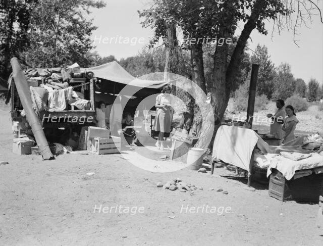 Camp of family with nine children who have been on the road..., Yakima Valley, Washington, 1939. Creator: Dorothea Lange.