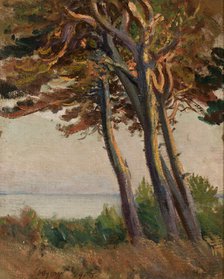 Pines at Polaga, 1908. Creator: Leon Wyczolkowski.
