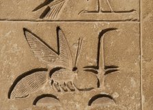Hieroglyphic writing relief: Upper Egypt, (rush) and Lower Egypt (bee), Saqqara, Egypt, 2015.  Creator: Unknown.