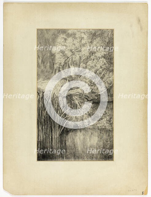 Little Pond in Woods, n.d. Creator: Unknown.