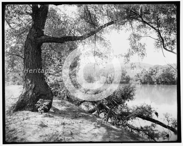 Across the French Broad near Hot Springs, N.C., (1902?). Creator: William H. Jackson.