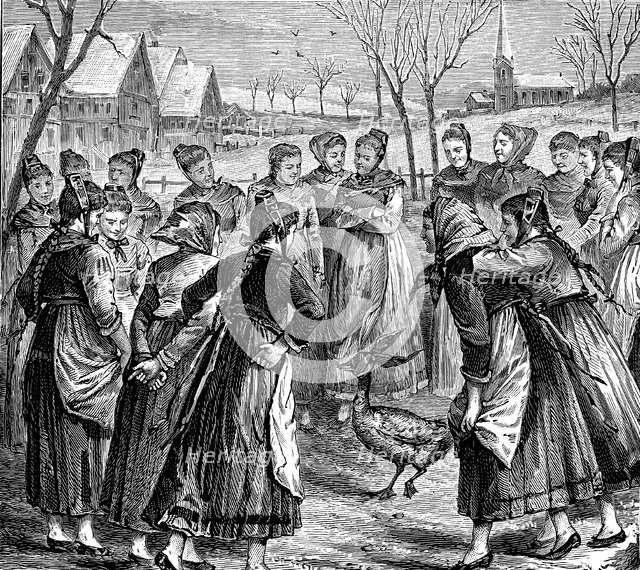 Goose oracle in the Black Forest.