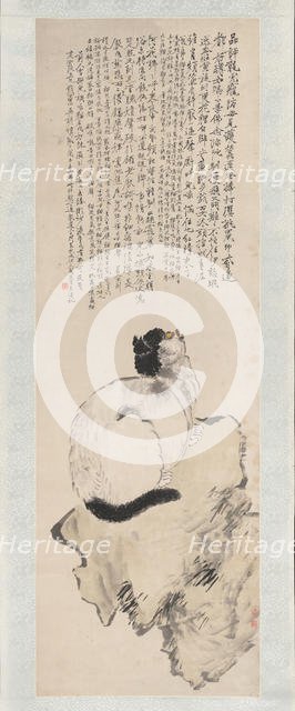 Cat. Creator: Wang Li.