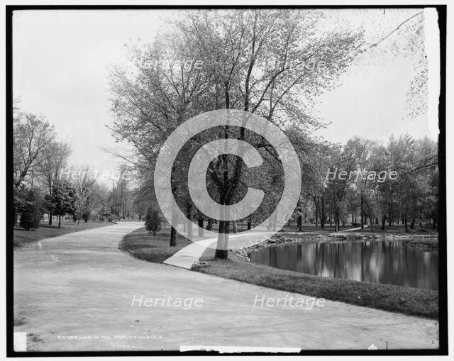 Lake in the park, Columbus, Ohio, between 1900 and 1906. Creator: Unknown.