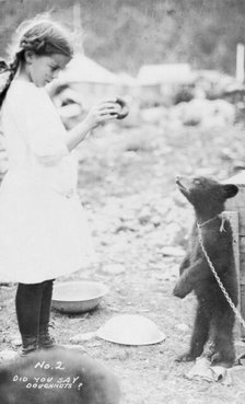 Girl and bear cub, between c1900 and 1916. Creator: Unknown.