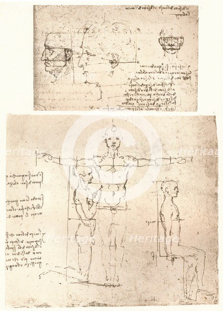 Two drawings illustrating the theory of the proportions of the human figure, c1472-c1519 (1883).  Artist: Leonardo da Vinci.