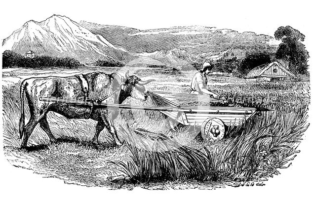 Reconstruction of Roman reaping cart, as described by Pliny, Engraving, 1860. Artist: Unknown