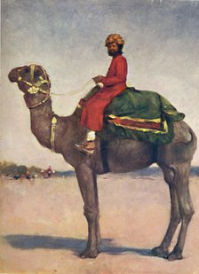 'A Camel Rider from Kota', 1903. Artist: Mortimer L Menpes.