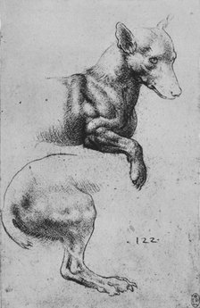 'Studies of the Forepart and Hind-Quarters of a Dog', c1480 (1945). Artist: Leonardo da Vinci.