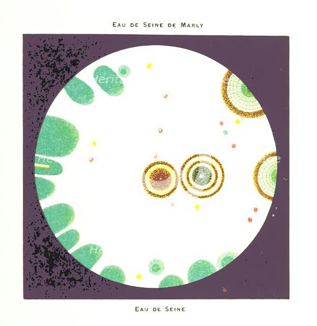 Water from the River Seine at Marly, 1899.  Creator: Unknown.