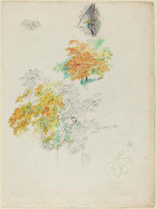 Studies of Trees, 1886. Creator: Pierre-Auguste Renoir.