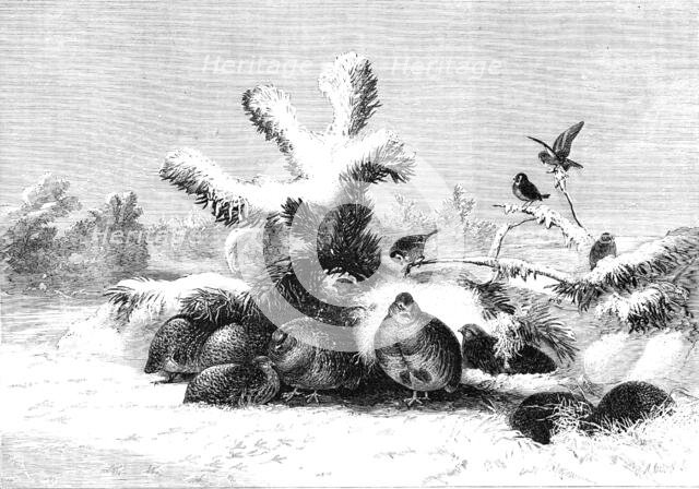 "The Covey" - painted by J. Wolf - from the Exhibition of the British Institution, 1857. Creator: Mason Jackson.