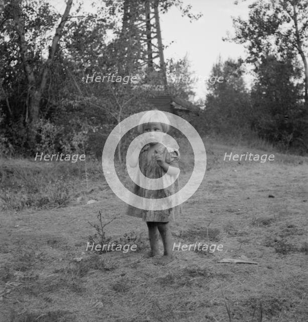 Migratory child in squatter camp before hop season opens, Washington, Yakima Valley, 1939. Creator: Dorothea Lange.