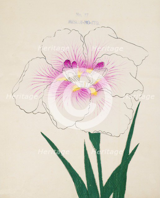 Misuji-No-Ito, No.17, 1890, (colour woodblock print)