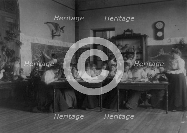 Students studying birds in biology class in a Washington, D.C. school, (1899?). Creator: Frances Benjamin Johnston.