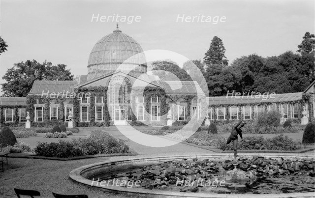 Conservatory at Syon House, Isleworth, London, c1945-c1965. Artist: SW Rawlings