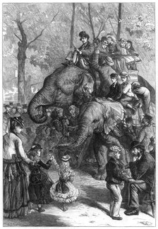 Monday afternoon at the zoological society's gardens, 1871.Artist: Charles Joseph Staniland