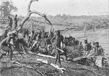 'Indigenes de la Rhodesia defrichant une foret pour l'etablissement d'une plantation de..., 1914. Creator: Unknown.
