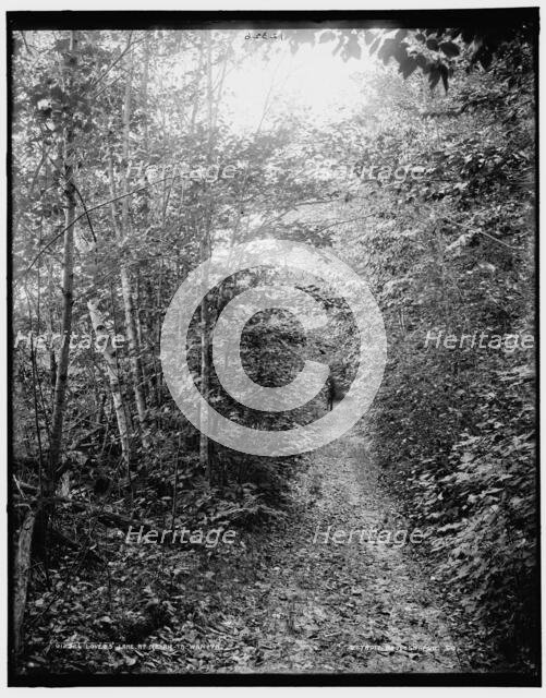 Lovers lane at Ne-ah-ta-wan-ta, between 1890 and 1901. Creator: Unknown.