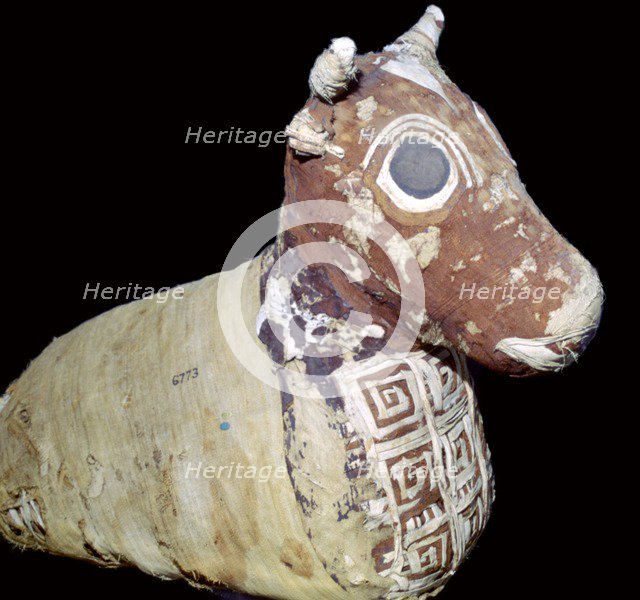 Mummified bull, from Thebes, Egypt, Roman Period, after 30 BC. Artist: Unknown