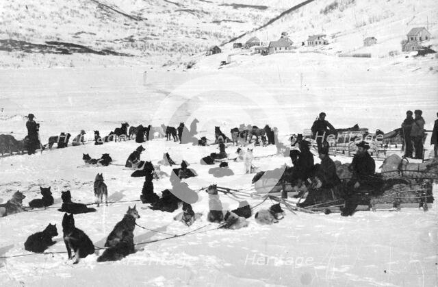 Loaded dog sleds on Petropavlovsk-Kamchatsky Square, 1910-1929. Creator: Ivan Emelianovich Larin.