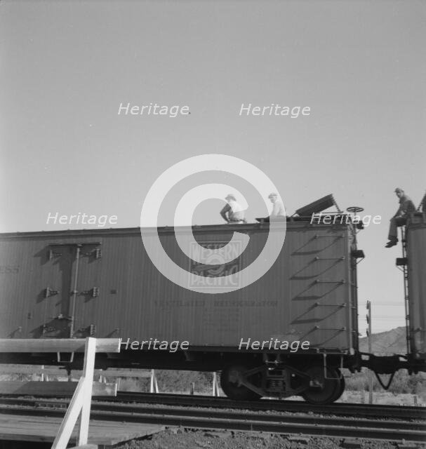 Freight moving east near Odessa, Texas, 1937. Creator: Dorothea Lange.
