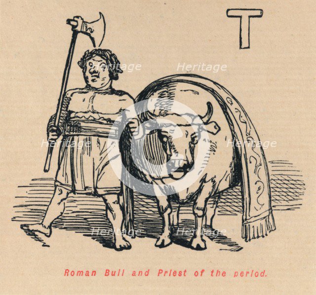'Roman Bull and Priest of the period', 1852. Artist: John Leech.