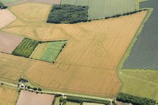 Cropmarks of an Iron Age and/or Roman settlement, Bedford, 2017. Creator: Damian Grady.