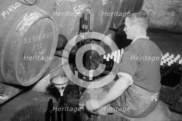 Port wine being bottled from the barrel at the Cutler Street warehouses, London, c1945-c1965. Artist: SW Rawlings