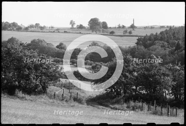 Memorial column near Lemmington Hall, Edlingham, Northumberland, c1955-c1980. Creator: Ursula Clark.