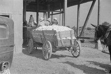 At the cotton gin, Cotton gin and wagons, Hale County, Alabama, 1936. Creator: Walker Evans.