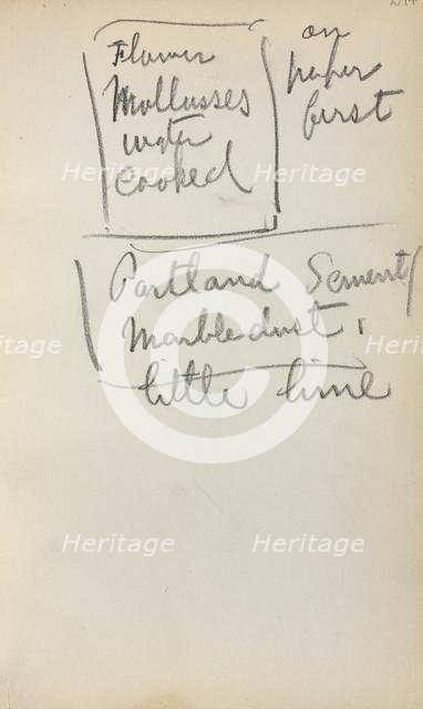 Italian Sketchbook: Notes (page 244), 1898-1899. Creator: Maurice Prendergast (American, 1858-1924).