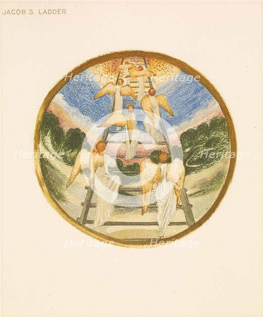 The Flower Book - Jacob's Ladder, 1905. Creator: Sir Edward Coley Burne-Jones.