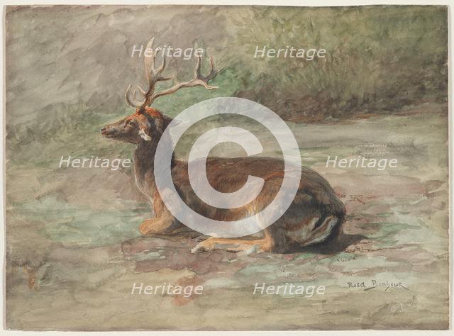 Recumbent Stag, second half 19th century. Creator: Rosa Bonheur (French, 1822-1899).