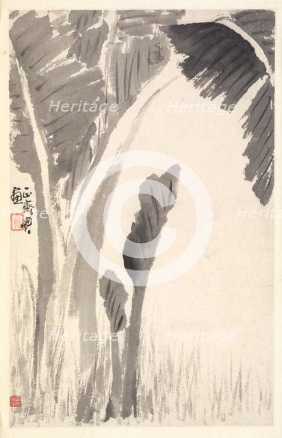 Banana Plants, 1788. Creator: Min Zhen (Chinese, 1730-after 1788).